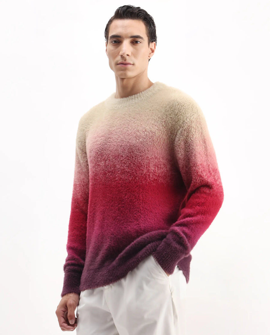 Rare Rabbit Men's Cherv Red Nylon Ombre Regular Fit Full Sleeve Crew Neck Sweater