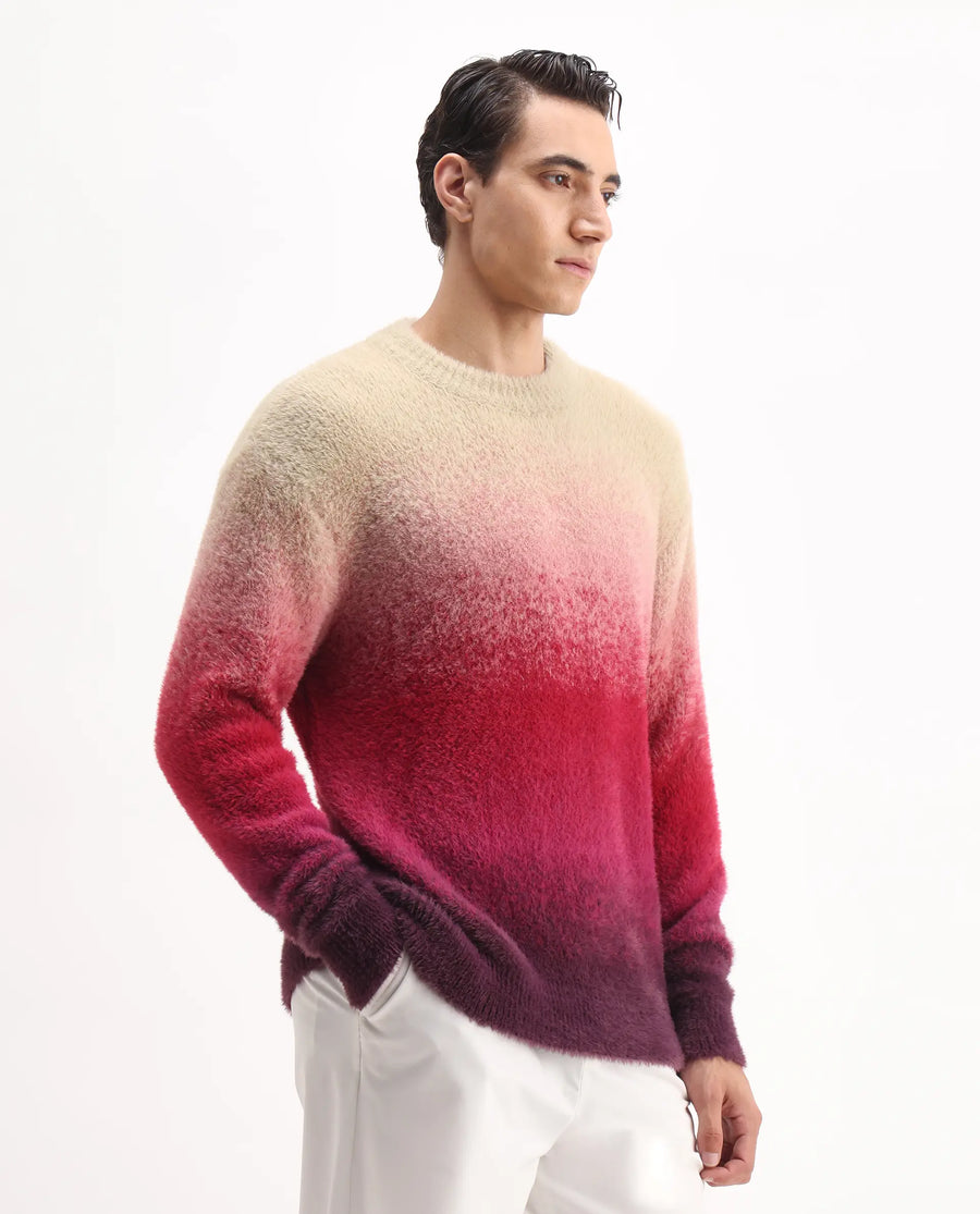 Rare Rabbit Men's Cherv Red Nylon Ombre Regular Fit Full Sleeve Crew Neck Sweater