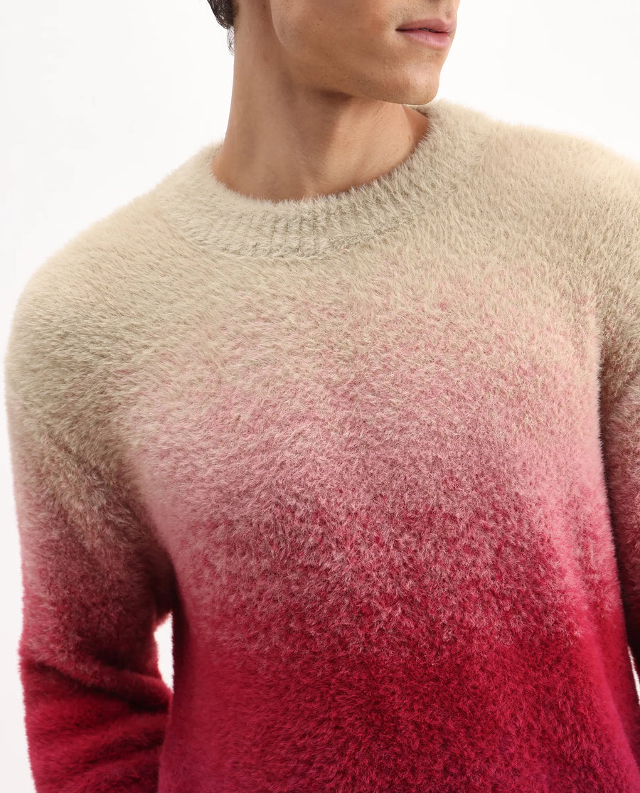 Rare Rabbit Men's Cherv Red Nylon Ombre Regular Fit Full Sleeve Crew Neck Sweater