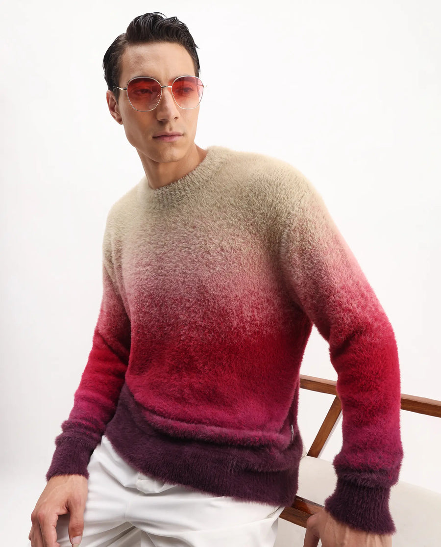 Rare Rabbit Men's Cherv Red Nylon Ombre Regular Fit Full Sleeve Crew Neck Sweater