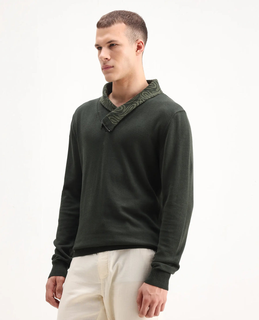 Rare Rabbit Men's Denver-25 Dark Olive Cotton Plain Regular Fit Full Sleeve Shawl Neck Sweater