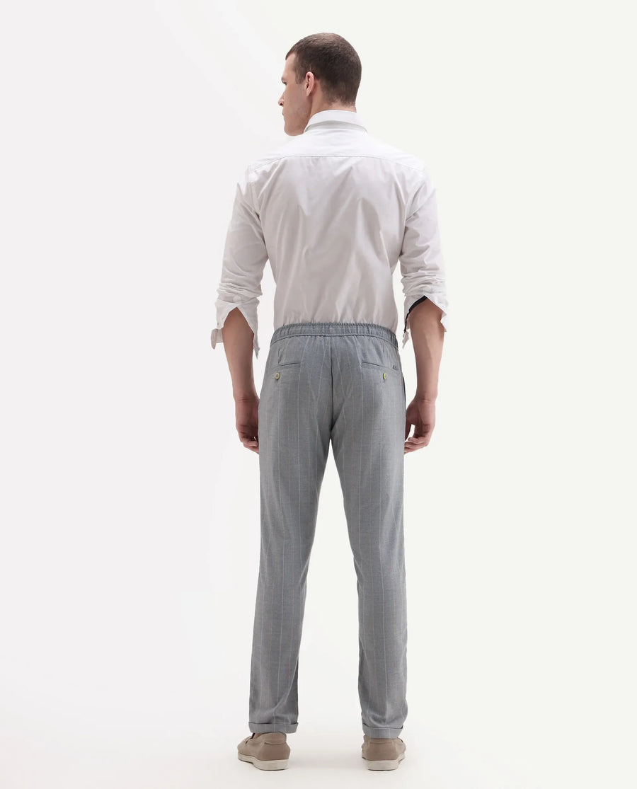 Rare Rabbit Men's Elms Grey Cotton Striped Print Regular Fit Trouser
