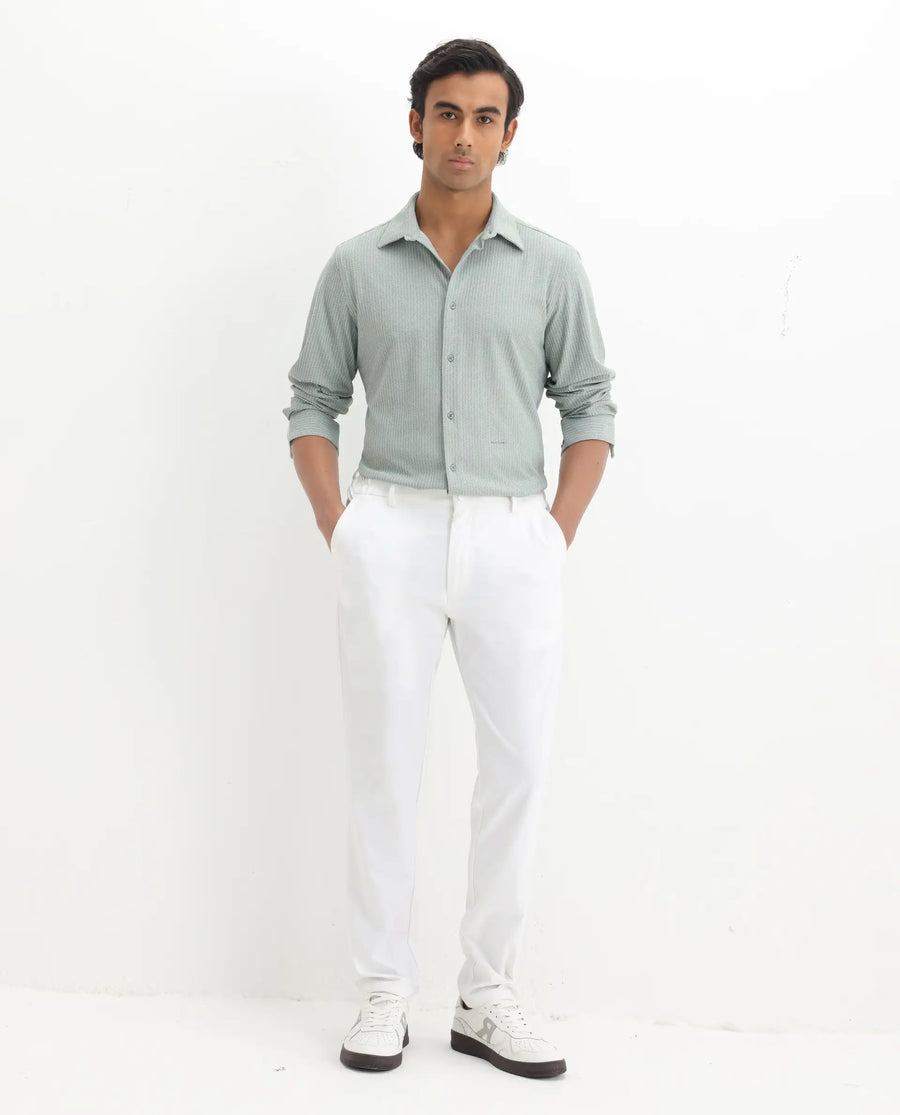 Rare Rabbit Men's Exclo Pastel Green Polyester Jacquard Regular Fit Full Sleeve Collared Shirt