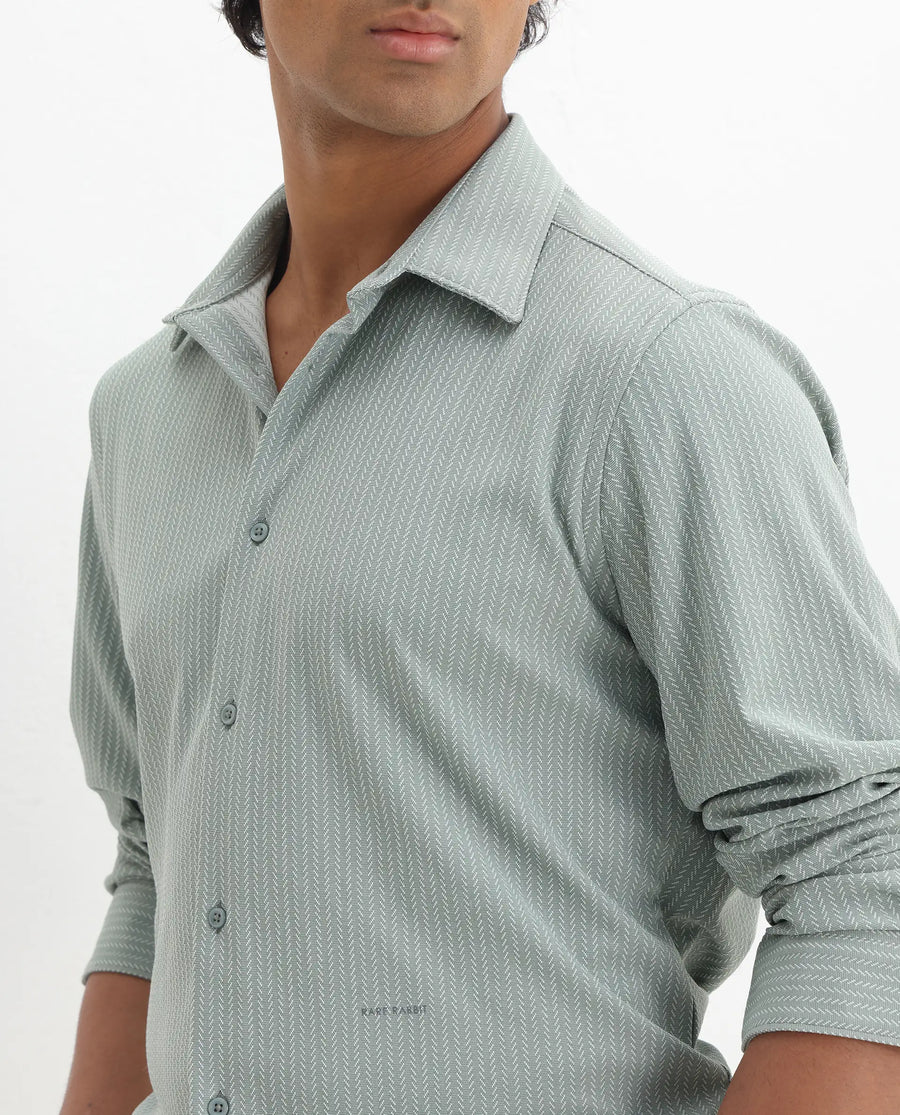 Rare Rabbit Men's Exclo Pastel Green Polyester Jacquard Regular Fit Full Sleeve Collared Shirt