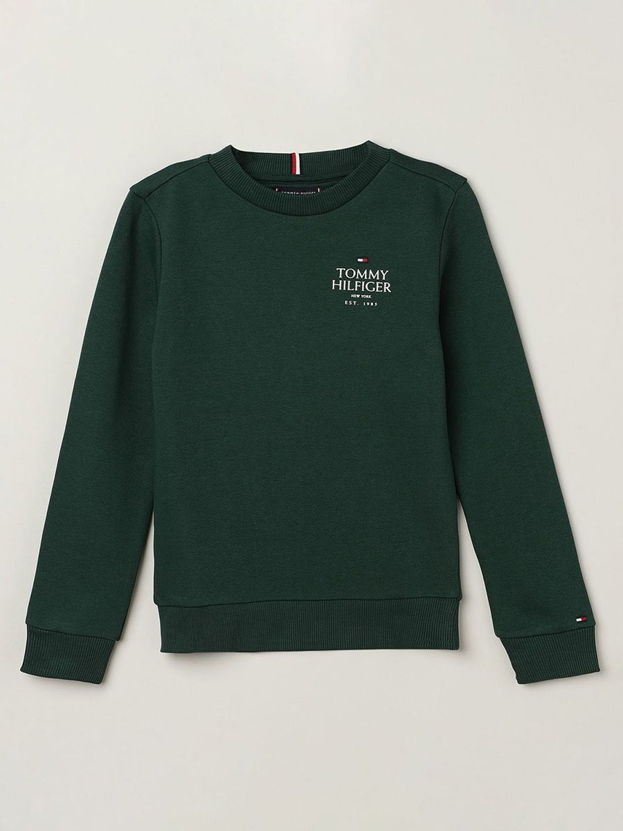 Tommy Hilfiger Boys Solid Pullover Sweatshirt