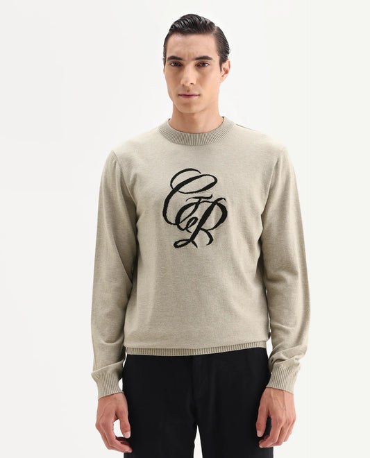 Rare Rabbit Men's Gron Beige Polyester Blend Fabric Full Sleeve Crew Neck Textured Sweater