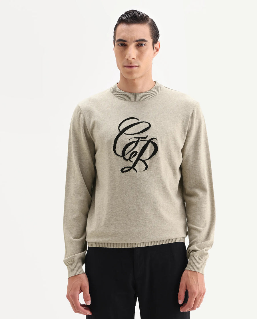 Rare Rabbit Men's Gron Beige Polyester Blend Fabric Full Sleeve Crew Neck Textured Sweater