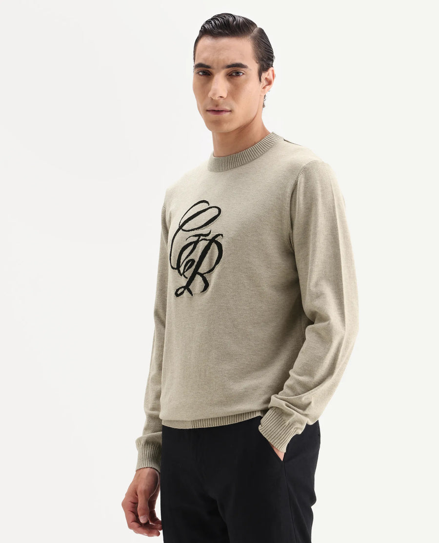 Rare Rabbit Men's Gron Beige Polyester Blend Fabric Full Sleeve Crew Neck Textured Sweater
