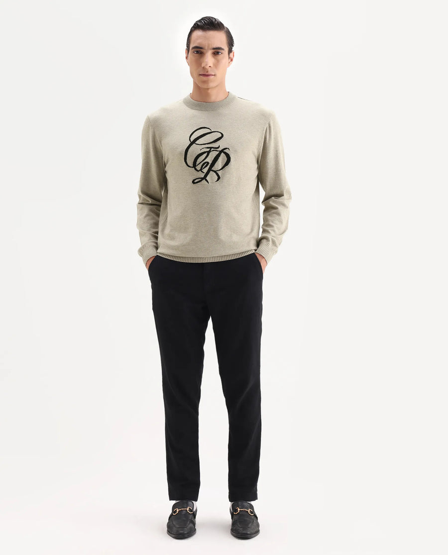 Rare Rabbit Men's Gron Beige Polyester Blend Fabric Full Sleeve Crew Neck Textured Sweater