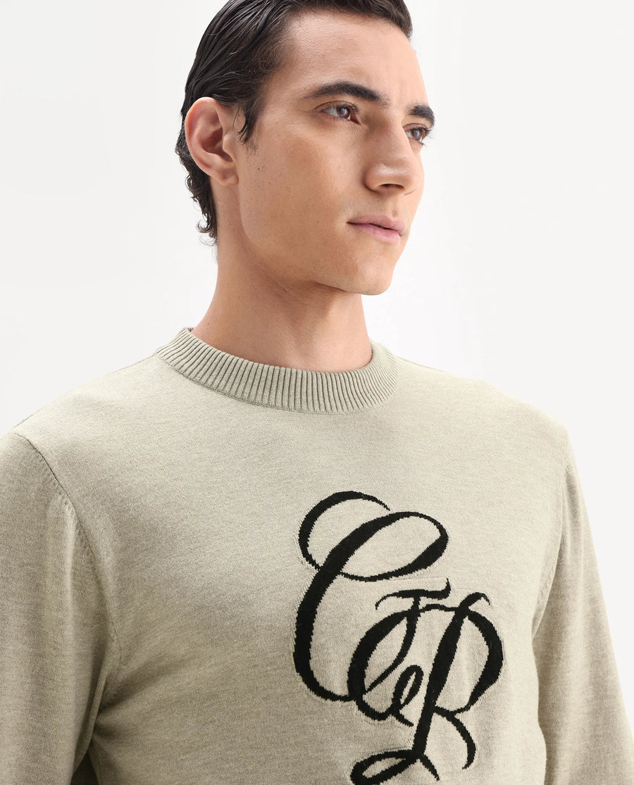 Rare Rabbit Men's Gron Beige Polyester Blend Fabric Full Sleeve Crew Neck Textured Sweater
