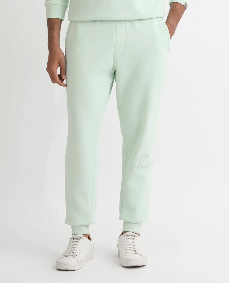 Rare Rabbit Men's Glame Light Green Cotton Plain Regular Fit Joggers