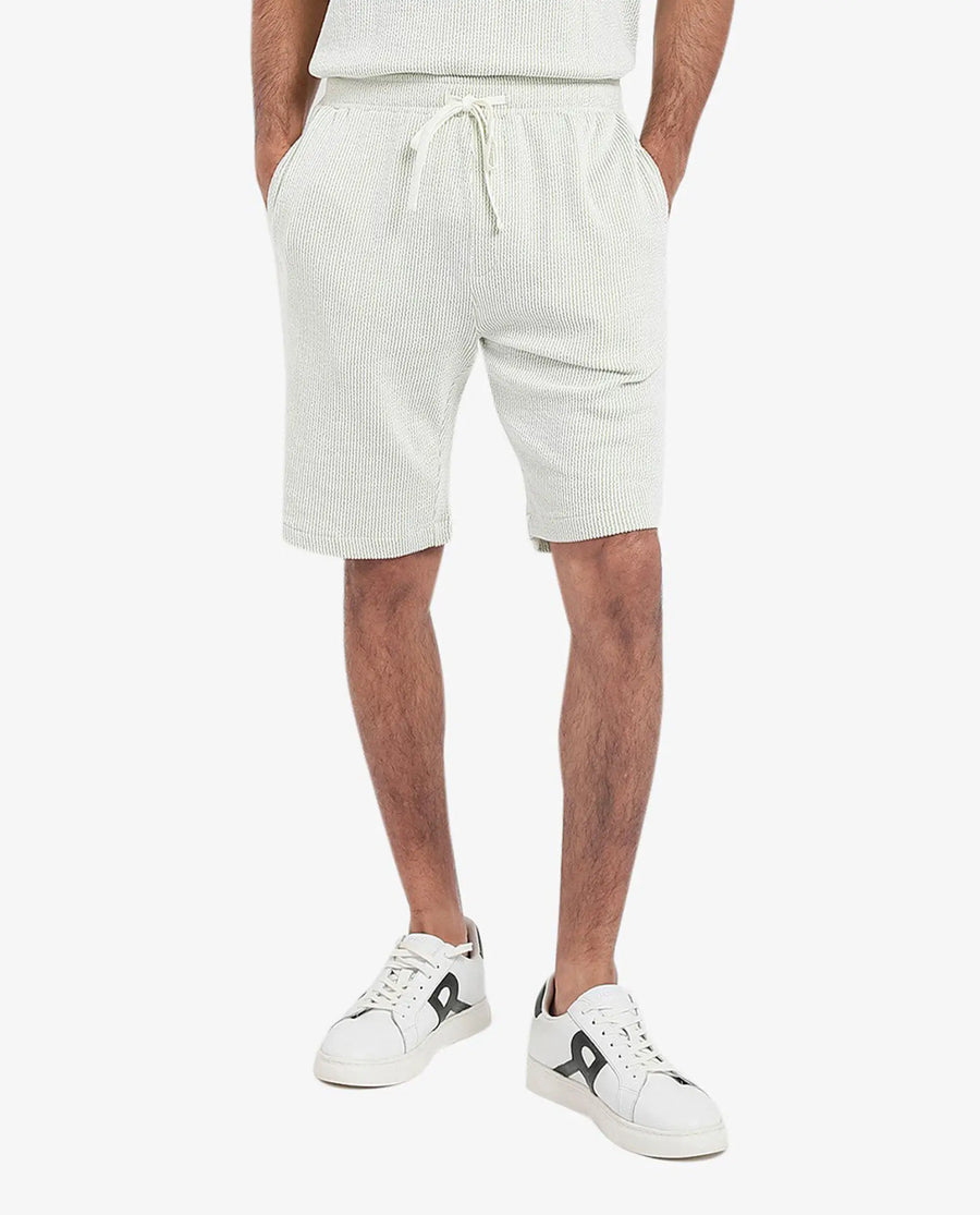 Rare Rabbit Men's Zavet-B Light Green Cotton Blend Striped Print Regular Fit Shorts