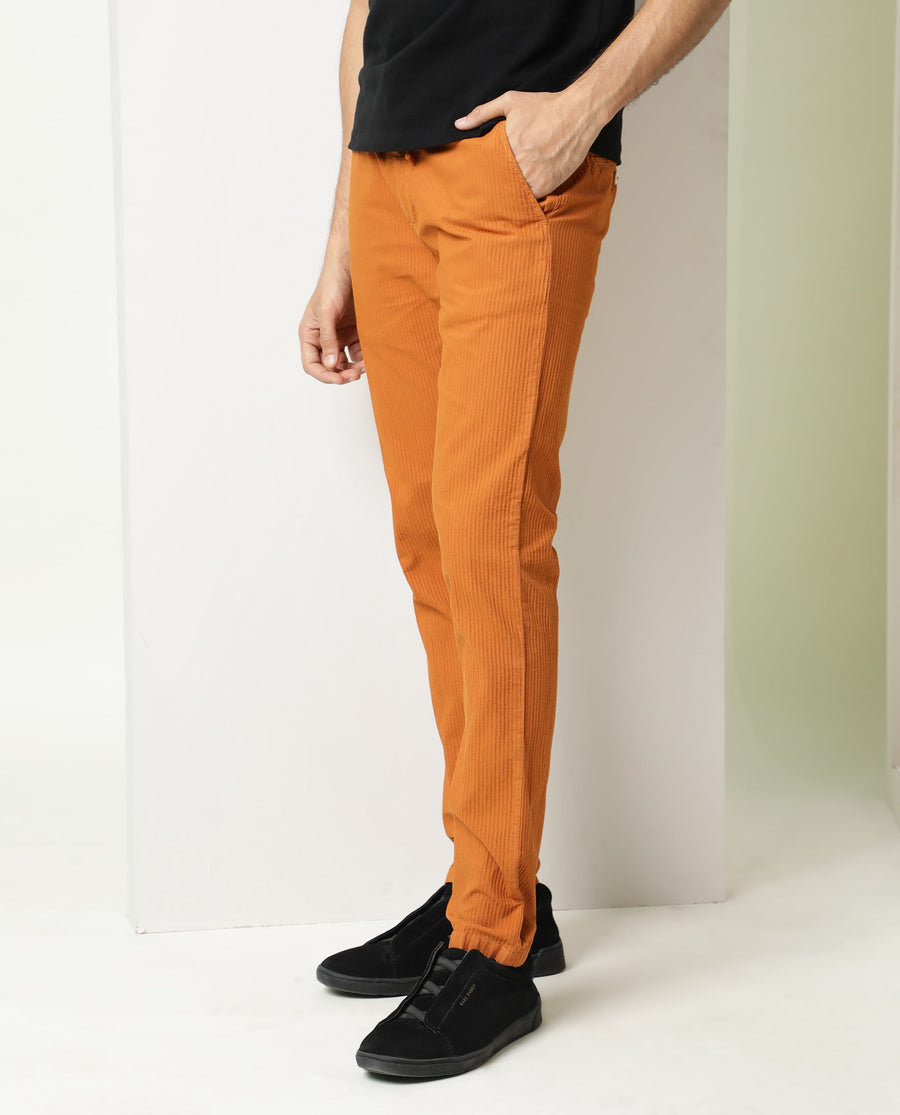 Rare Rabbit Men's Monter Orange Cotton Striped Print Regular Fit Trouser