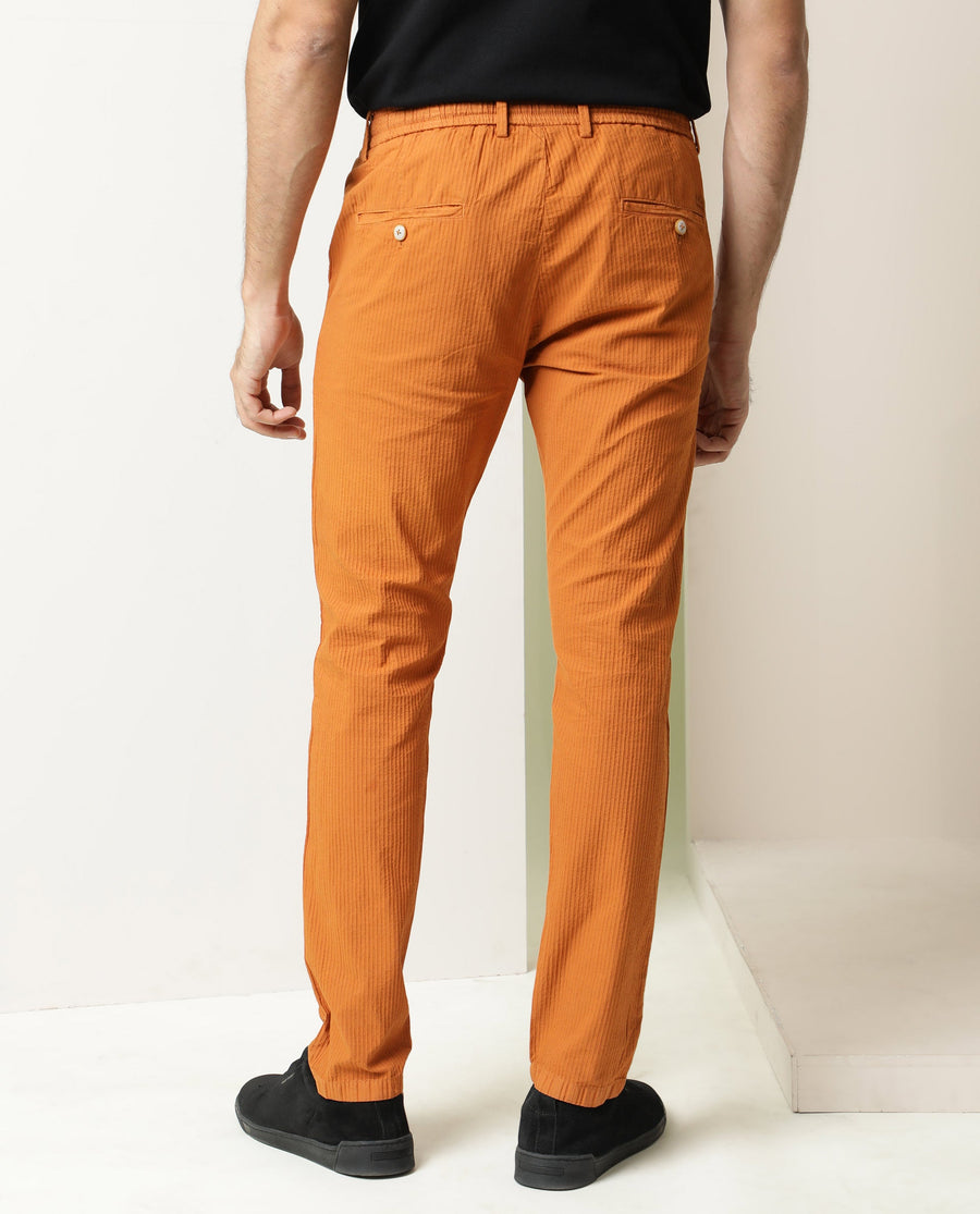 Rare Rabbit Men's Monter Orange Cotton Striped Print Regular Fit Trouser