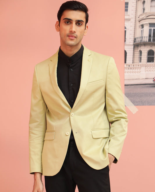 Rare Rabbit Men's Berzu Green Polyester Plain Tailored Fit Full Sleeve Lapel Neck Blazer