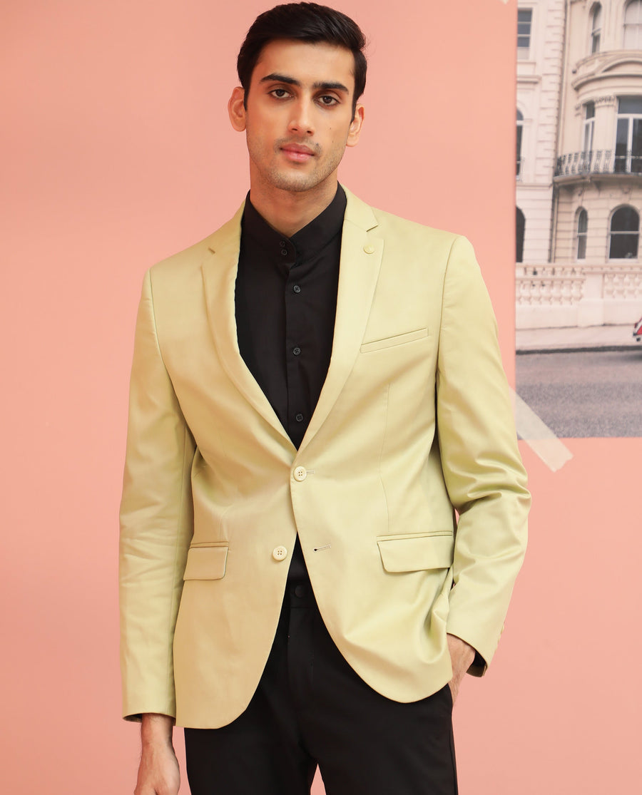 Rare Rabbit Men's Berzu Green Polyester Plain Tailored Fit Full Sleeve Lapel Neck Blazer