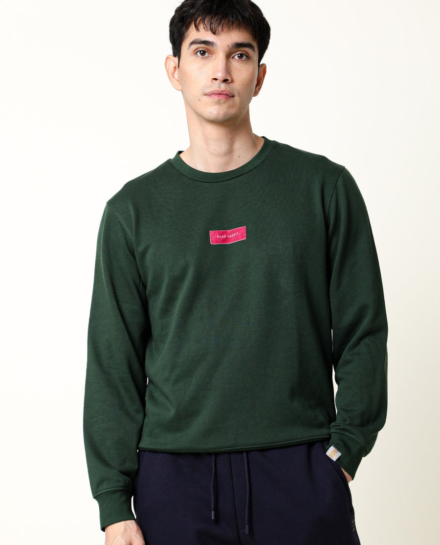 Rare Rabbit Men's Velveto Green Cotton Plain Regular Fit Full Sleeve Crew Neck Sweatshirt