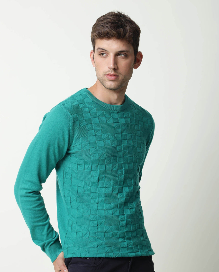 Rare Rabbit Men's Russ Green Cotton Textured Relaxed Fit Full Sleeve Crew Neck Sweater
