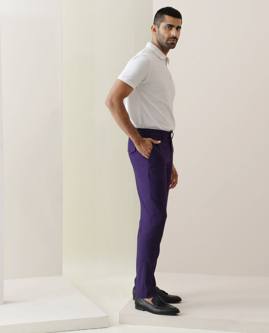 Rare Rabbit Men's Glade Purple Viscose Plain Slim Fit Trouser