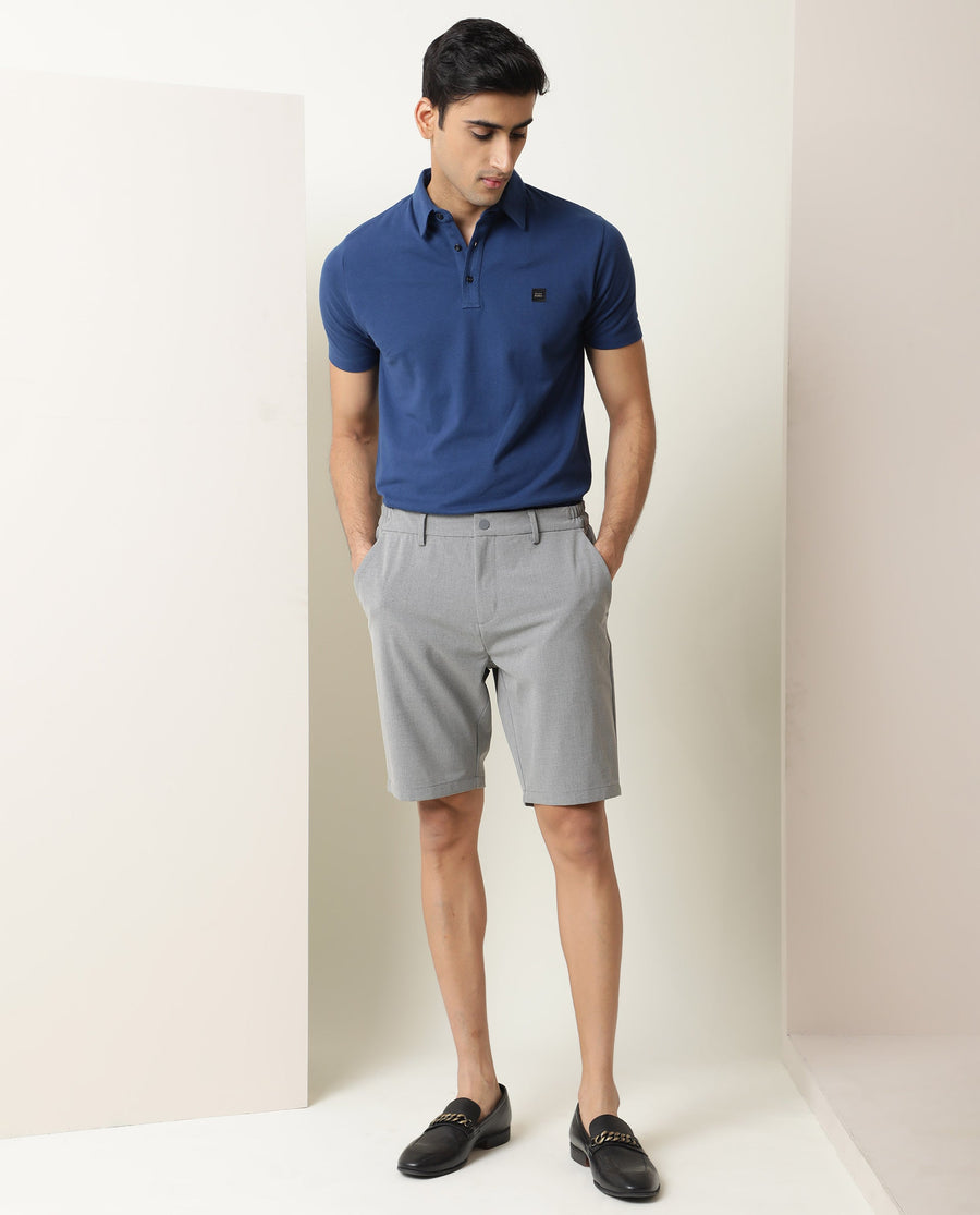 Rare Rabbit Men's Trip Grey Polyester Plain Regular Fit Shorts