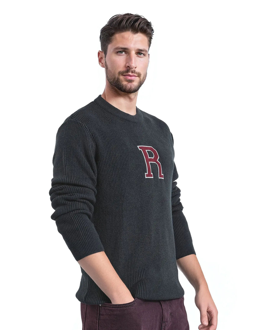 Rare Rabbit Men's Kazu Navy Cotton Applique Print Regular Fit Full Sleeve Crew Neck Sweater