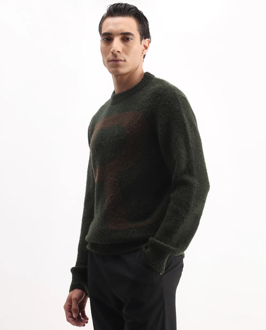 Rare Rabbit Men's Lang Dark Olive Nylon Printed Regular Fit Full Sleeve Crew Neck Sweater