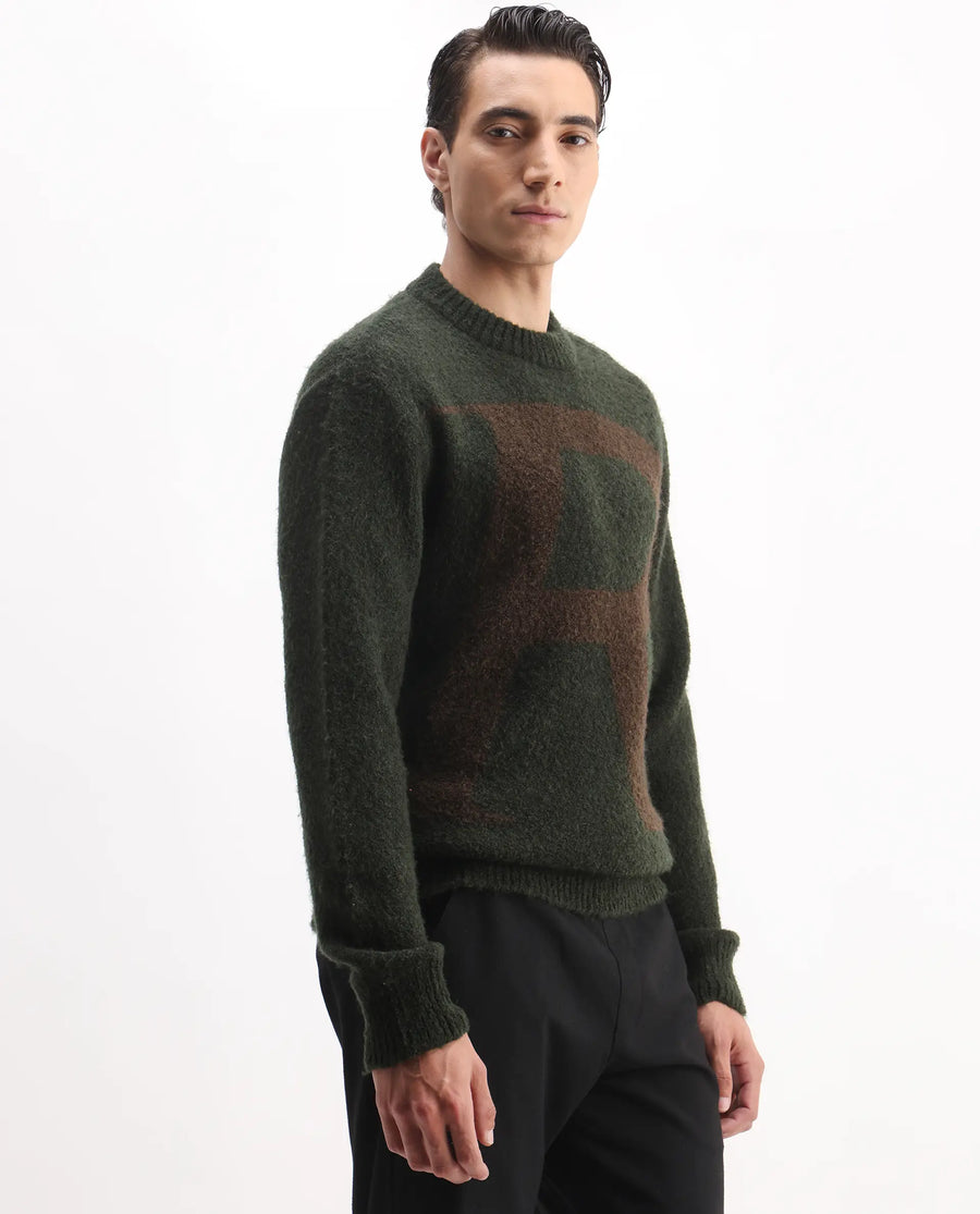 Rare Rabbit Men's Lang Dark Olive Nylon Printed Regular Fit Full Sleeve Crew Neck Sweater