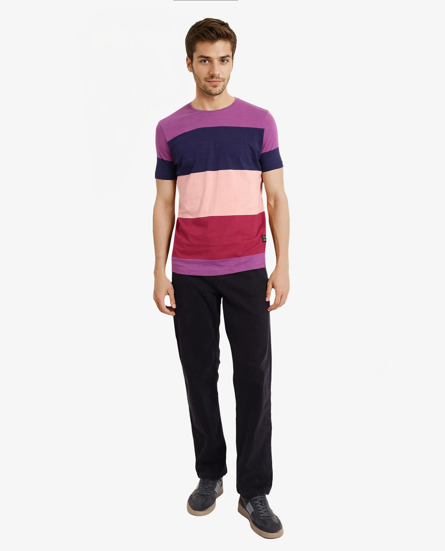 Rare Rabbit Men's Lemar Purple Cotton Ombre Slim Fit Half Sleeve Crew Neck T-Shirt