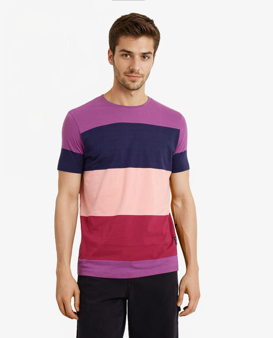 Rare Rabbit Men's Lemar Purple Cotton Ombre Slim Fit Half Sleeve Crew Neck T-Shirt