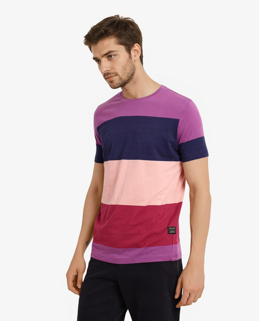 Rare Rabbit Men's Lemar Purple Cotton Ombre Slim Fit Half Sleeve Crew Neck T-Shirt