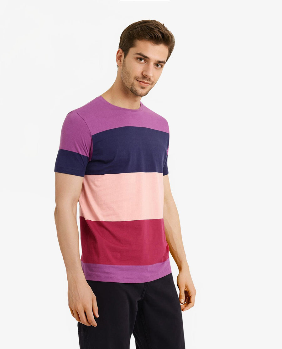 Rare Rabbit Men's Lemar Purple Cotton Ombre Slim Fit Half Sleeve Crew Neck T-Shirt