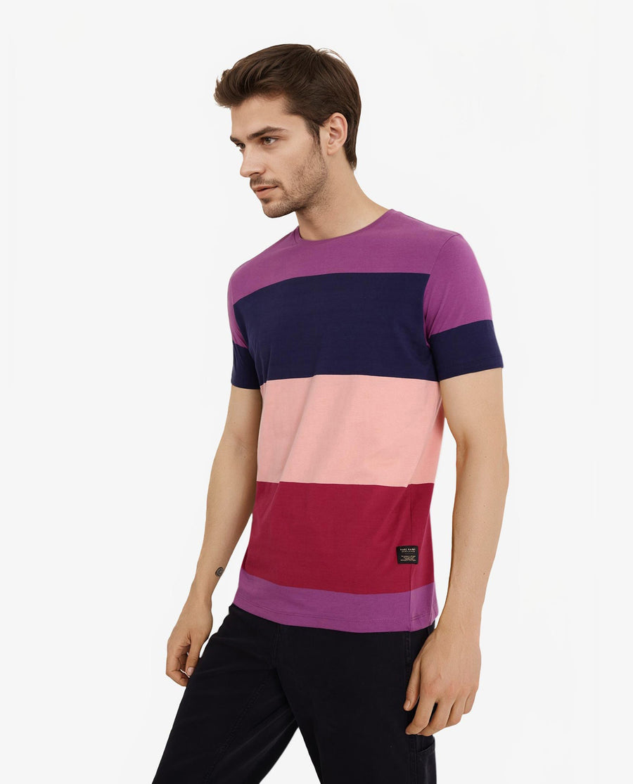 Rare Rabbit Men's Lemar Purple Cotton Ombre Slim Fit Half Sleeve Crew Neck T-Shirt