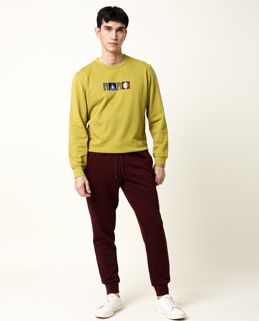 Rare Rabbit Men's Martis Olive Cotton Embroidered Regular Fit Full Sleeve Crew Neck Sweatshirt