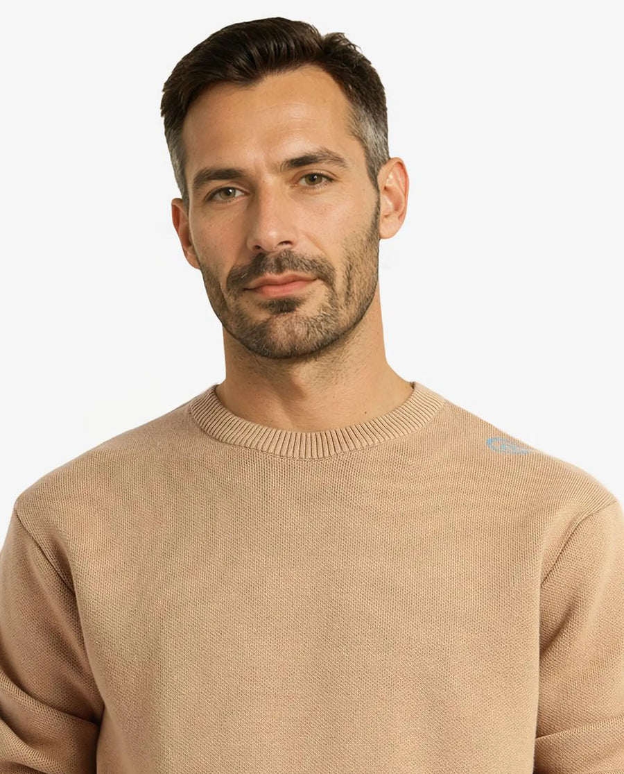 Rare Rabbit Men's Mario Beige Cotton Monogram Print Regular Fit Full Sleeve Crew Neck Sweater