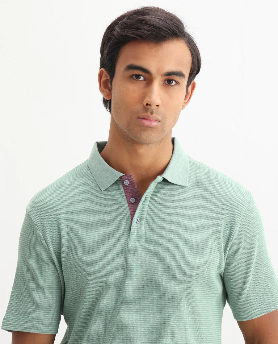 Rare Rabbit Men's Mello Dusky Green Cotton Plain Regular Fit Half Sleeve Polo