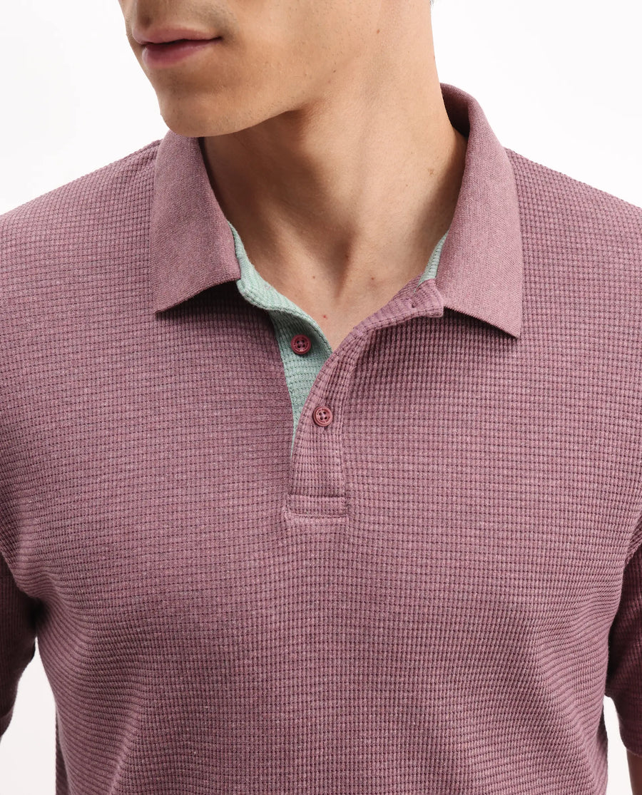 Rare Rabbit Men's Mello Dusky Pink Cotton Plain Regular Fit Half Sleeve Polo