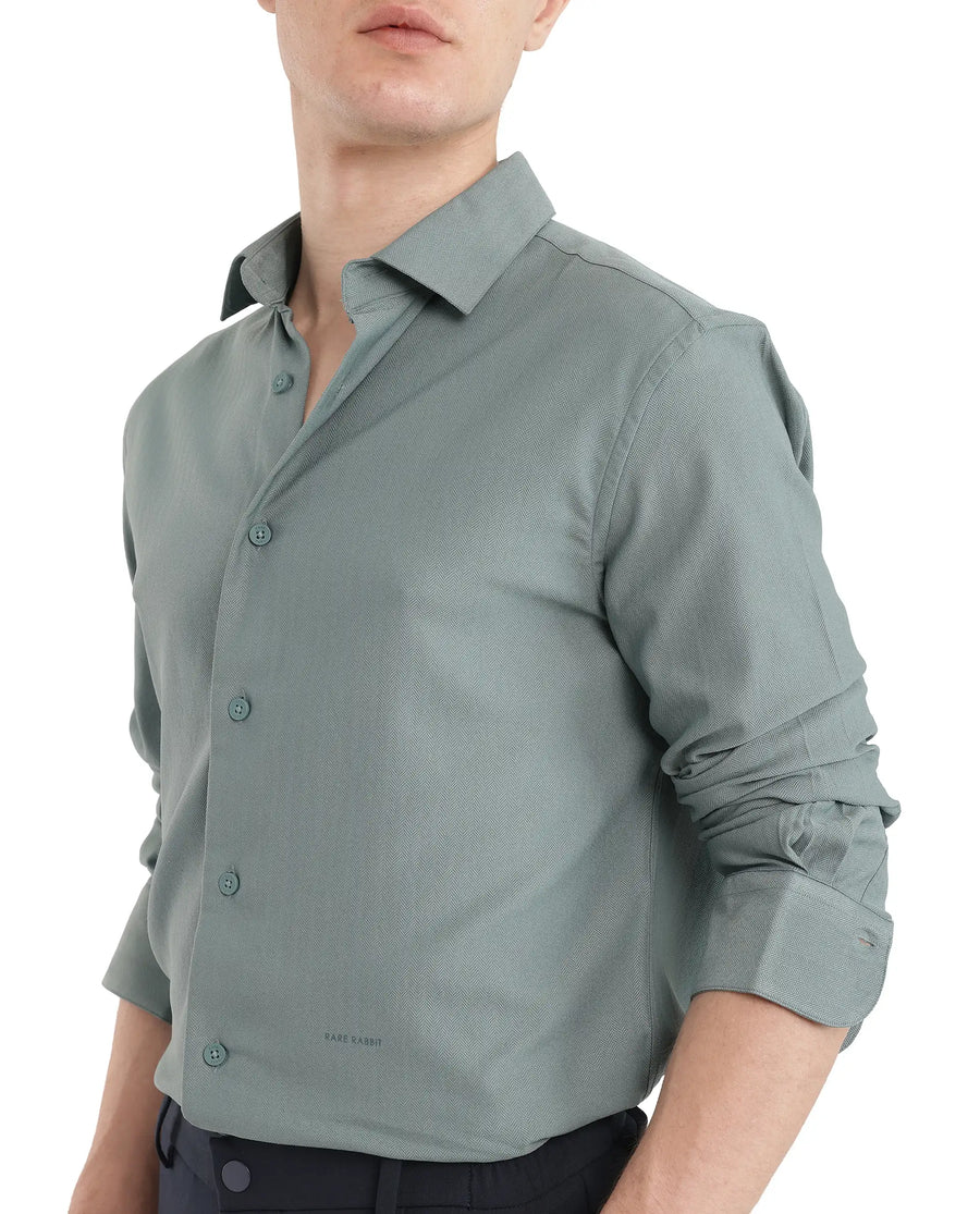 Rare Rabbit Men's Mer-25 Dusky Green Viscose Blend Textured Regular Fit Full Sleeve Collared Shirt