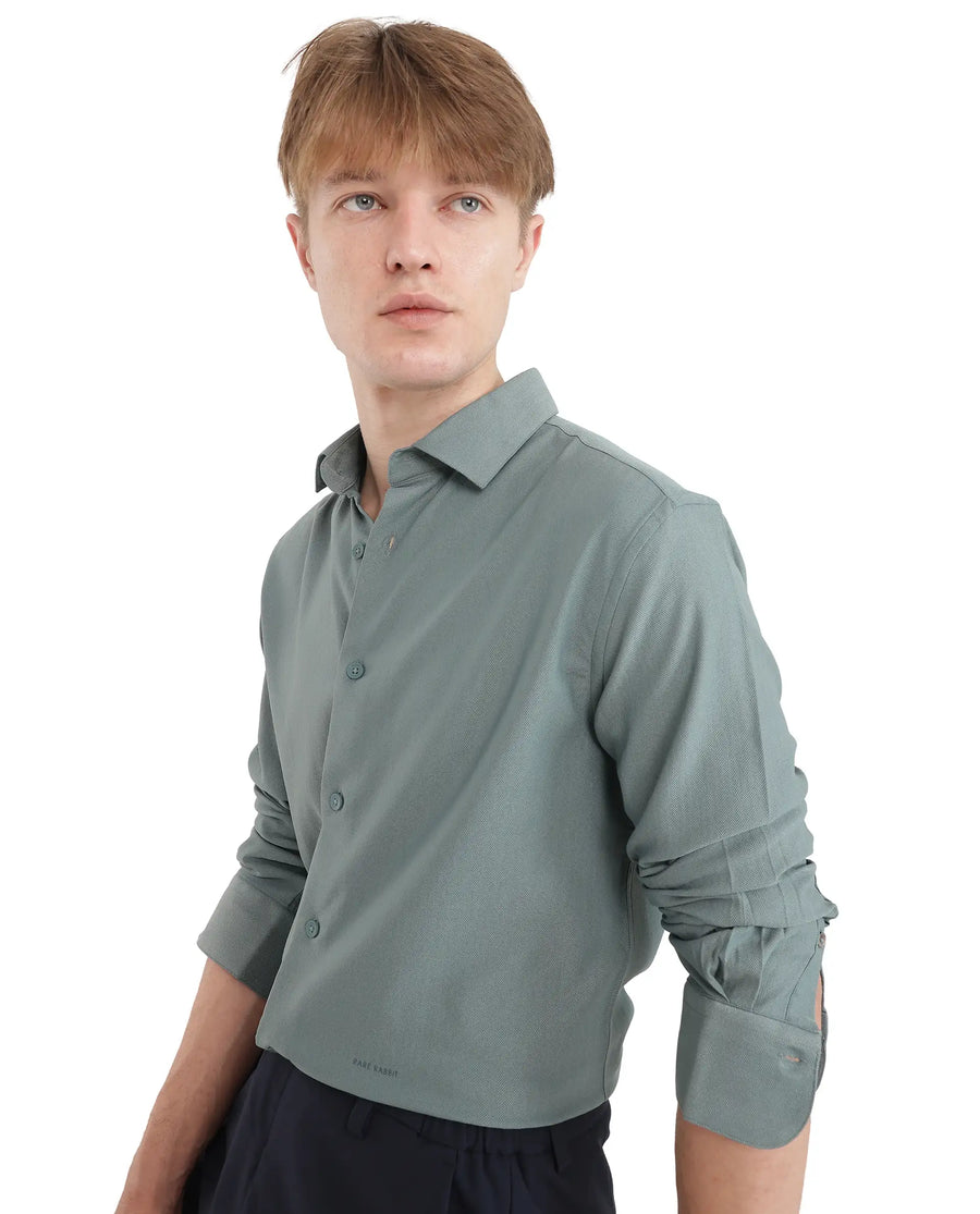 Rare Rabbit Men's Mer-25 Dusky Green Viscose Blend Textured Regular Fit Full Sleeve Collared Shirt
