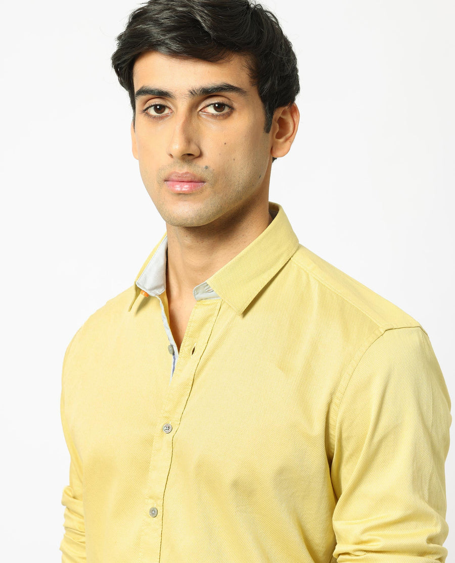 Rare Rabbit Men's Mond Yellow Cotton Plain Regular Fit Full Sleeve Collared Shirt