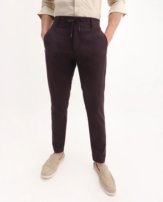 Rare Rabbit Men's Move-25 Maroon Polyester Blend Plain Regular Fit Trouser