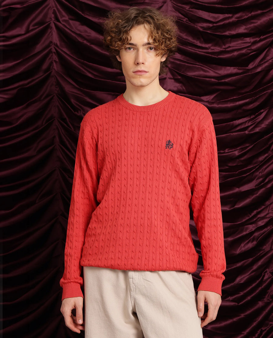 Rare Rabbit Men's Prota Orange Cotton Plain Regular Fit Full Sleeve Crew Neck Sweater