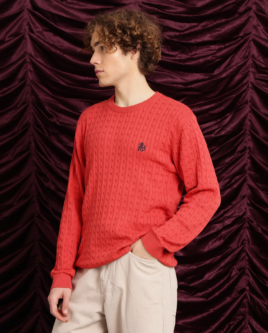 Rare Rabbit Men's Prota Orange Cotton Plain Regular Fit Full Sleeve Crew Neck Sweater