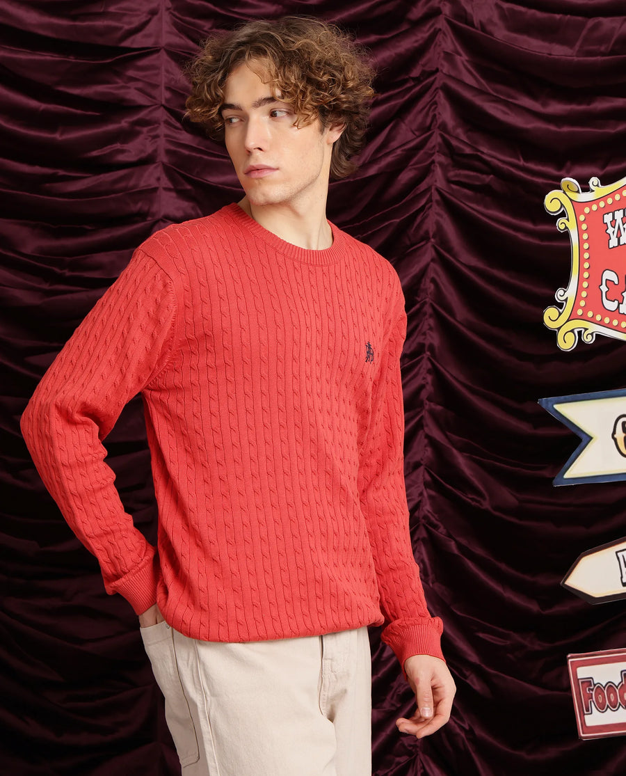 Rare Rabbit Men's Prota Orange Cotton Plain Regular Fit Full Sleeve Crew Neck Sweater