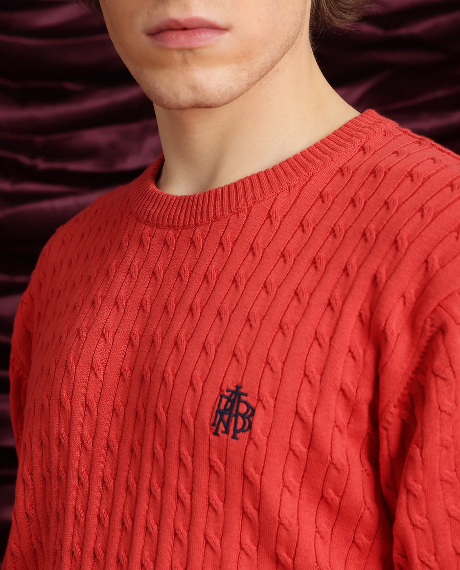 Rare Rabbit Men's Prota Orange Cotton Plain Regular Fit Full Sleeve Crew Neck Sweater