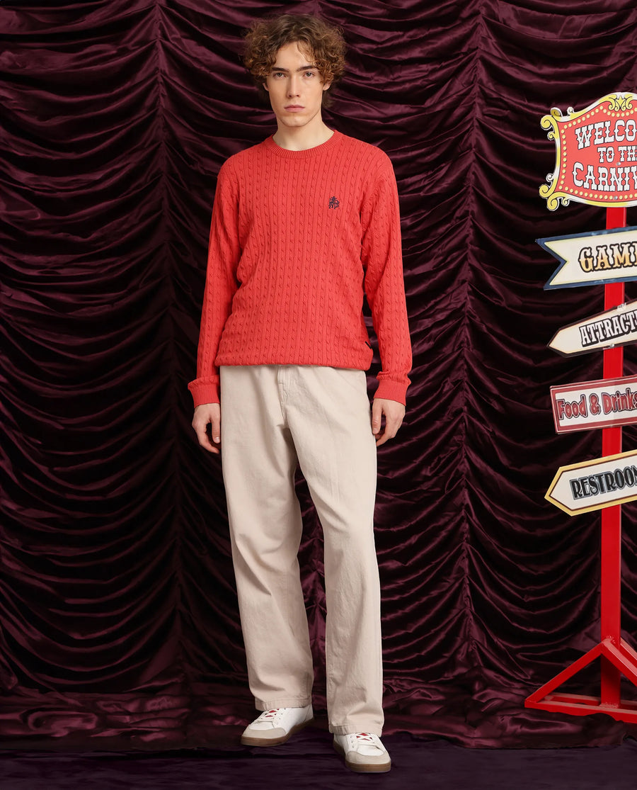 Rare Rabbit Men's Prota Orange Cotton Plain Regular Fit Full Sleeve Crew Neck Sweater