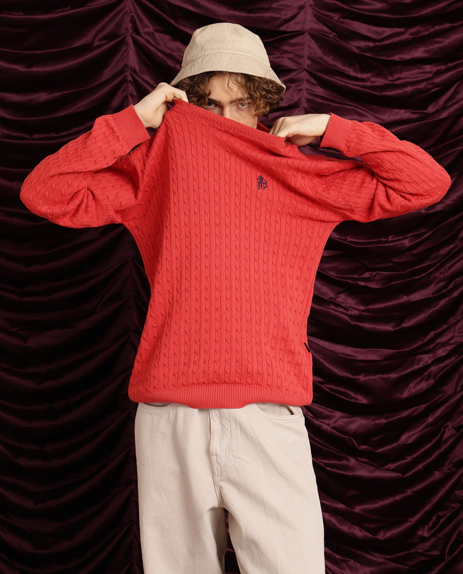 Rare Rabbit Men's Prota Orange Cotton Plain Regular Fit Full Sleeve Crew Neck Sweater