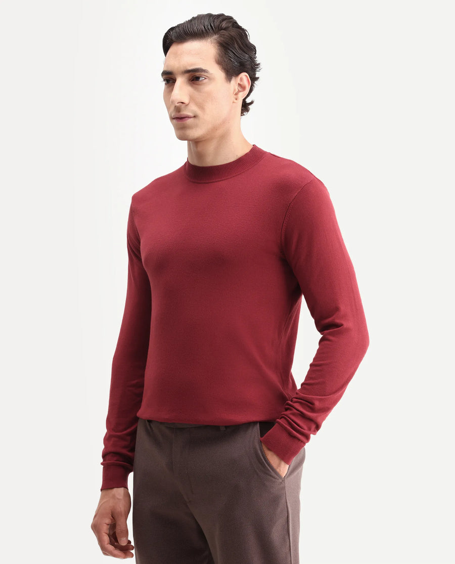 Rare Rabbit Men's Alfot Red Viscose Plain Regular Fit Full Sleeve High Neck Sweater