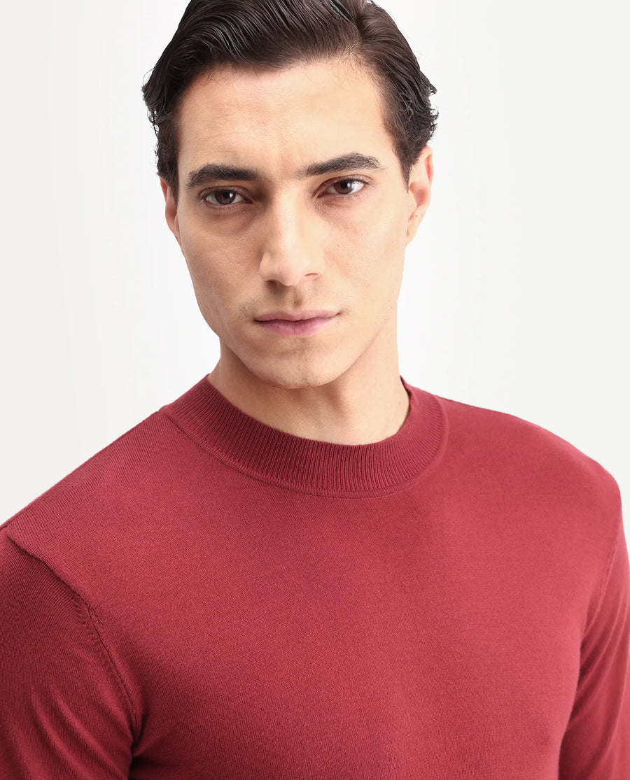 Rare Rabbit Men's Alfot Red Viscose Plain Regular Fit Full Sleeve High Neck Sweater
