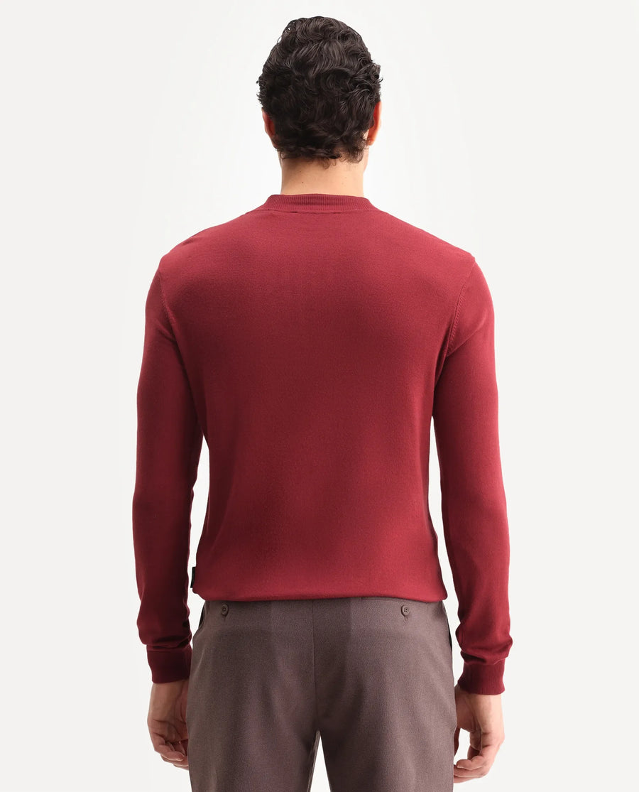 Rare Rabbit Men's Alfot Red Viscose Plain Regular Fit Full Sleeve High Neck Sweater