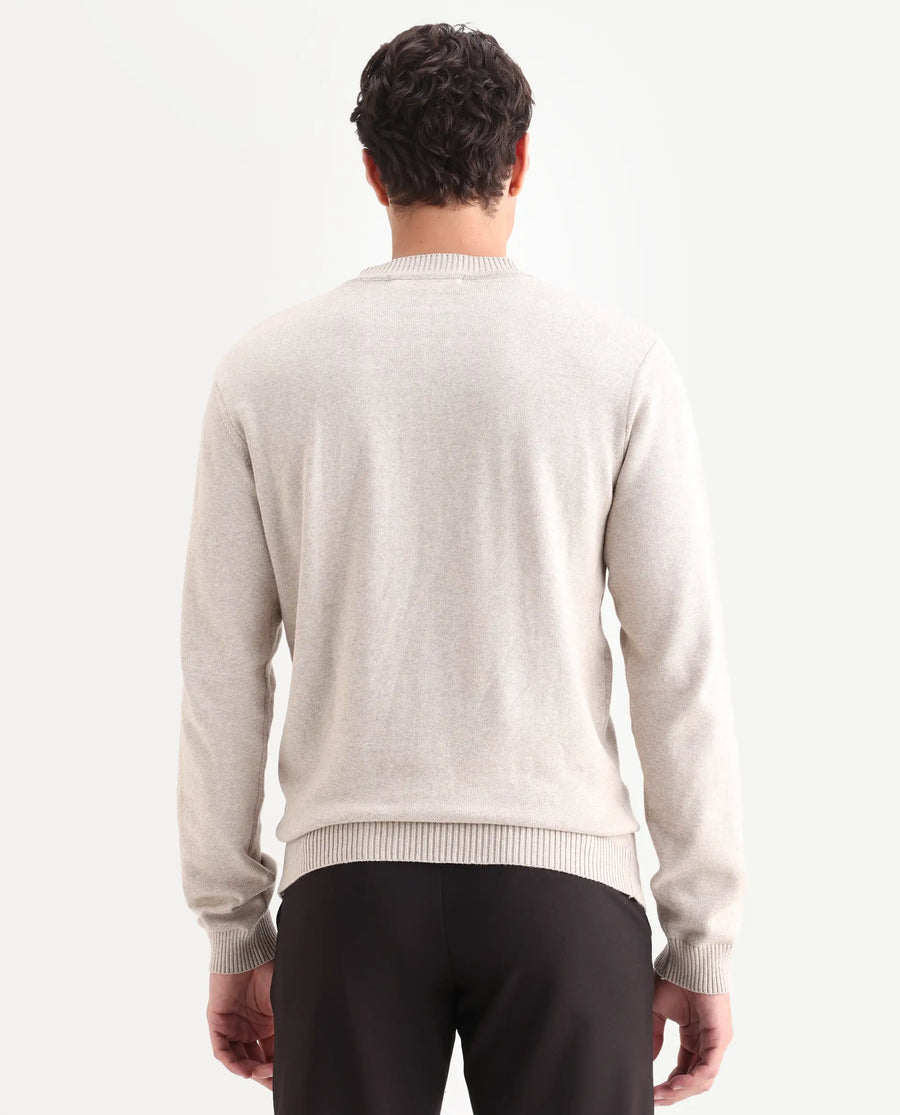 Rare Rabbit Men's Destin Beige Cotton Jacquard Regular Fit Full Sleeve Crew Neck Sweater